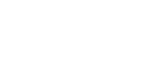 Logo 20º BIB